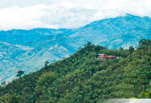 San José, Occidente Próspero
