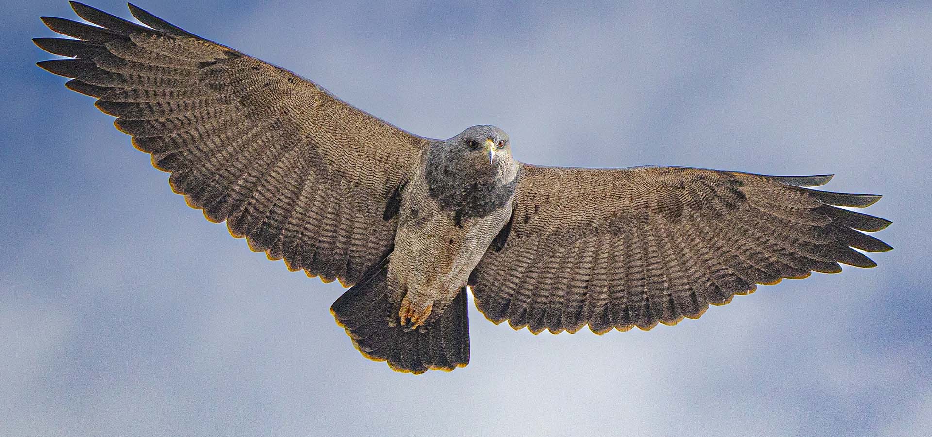 Naturaleza y páramo