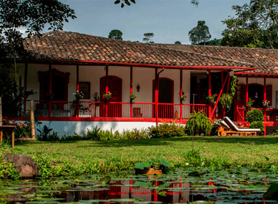 Tour de Café Hacienda Venecia