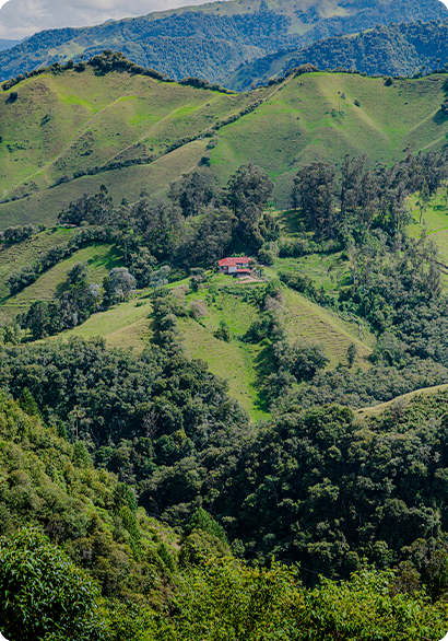 Marulanda, foto 4 de 15