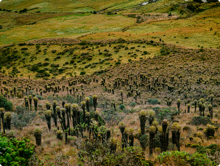 Villamaría, foto 5 de 9