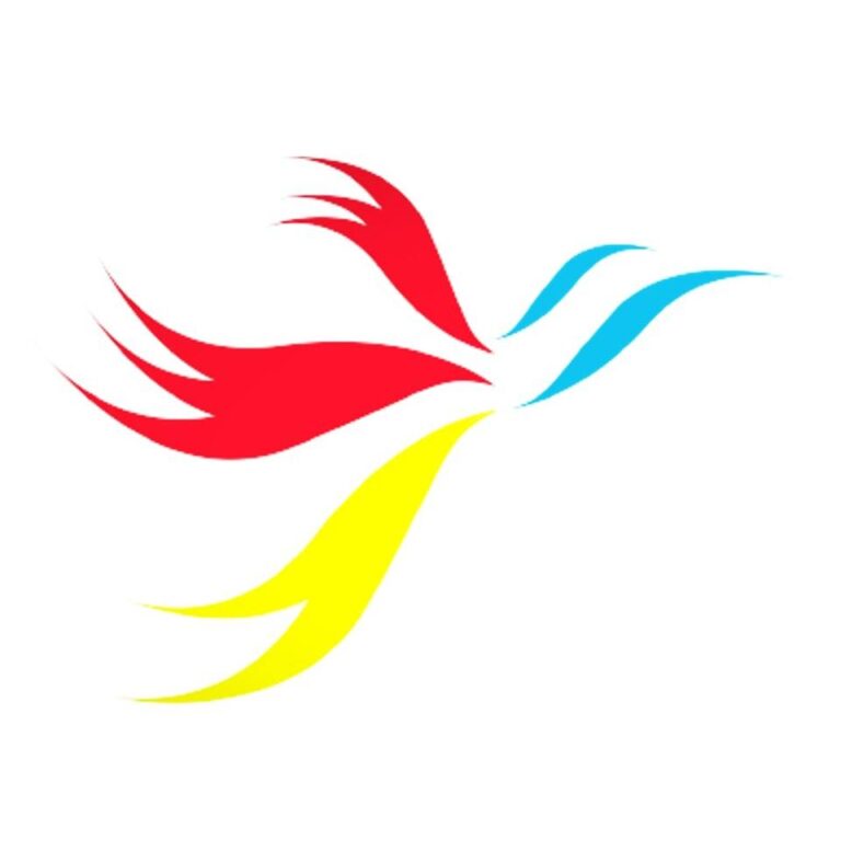 Pajoy Tours