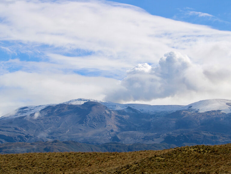 Naturaleza y páramo, foto 2 de 7