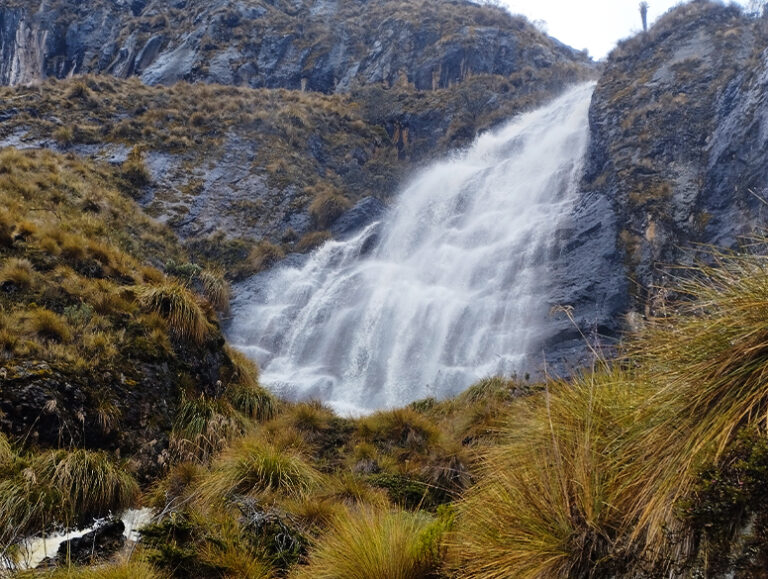Naturaleza y páramo, foto 4 de 7
