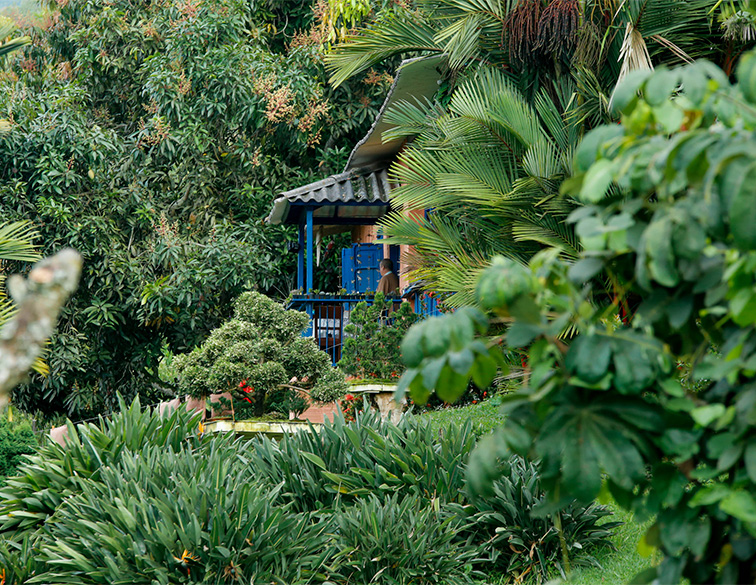 Finca Romelia Orchids and Birds, foto 1 de 6