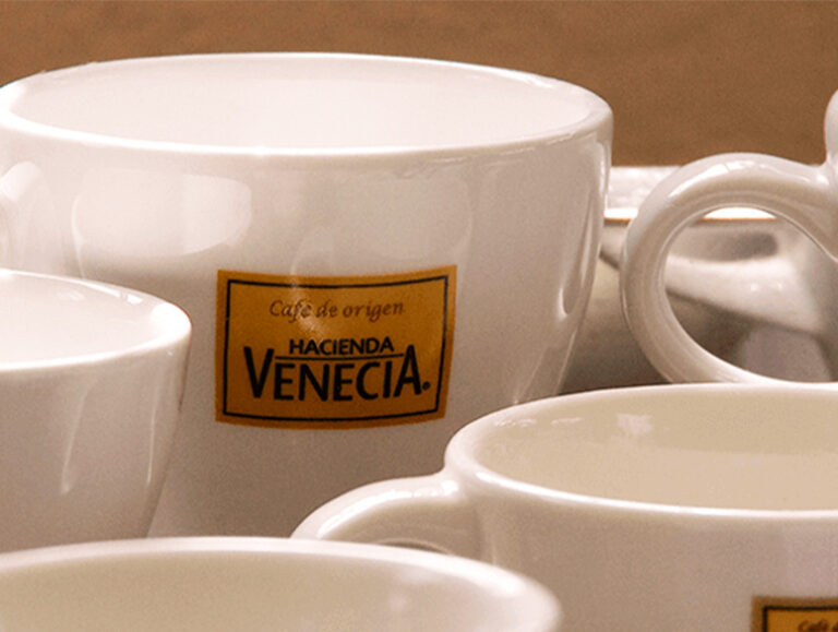 Tour de Café Hacienda Venecia, foto 3 de 5