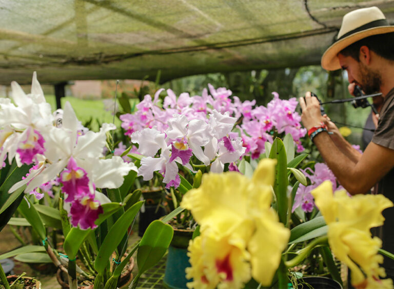 Finca Romelia Orchids and Birds, foto 5 de 6