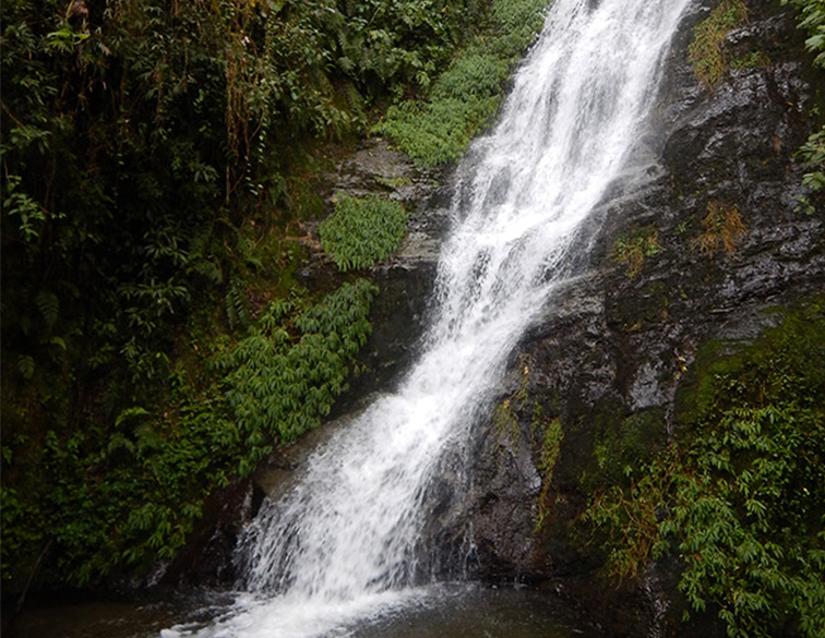 Travesías Otún Cedral, foto 3 de 3