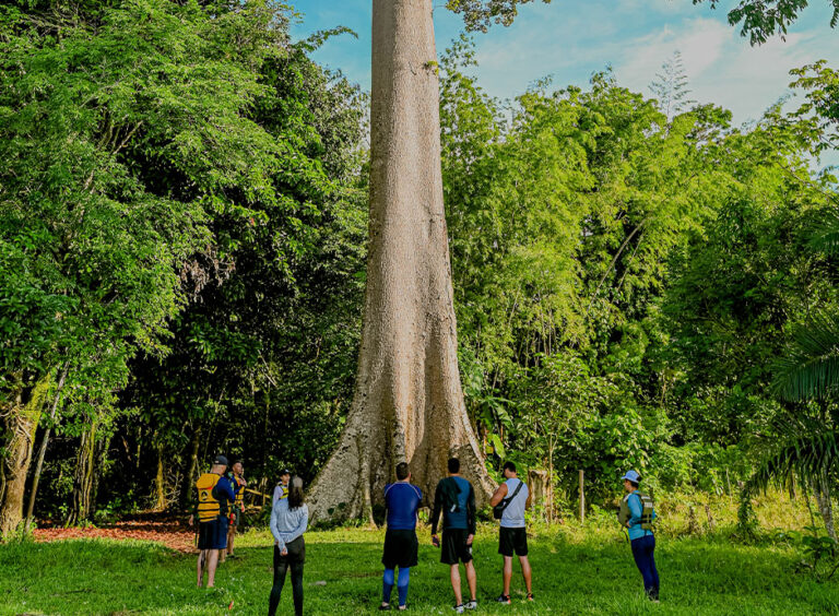 Tour Ribereño Rio La Miel – Vereda La Habana, foto 7 de 8